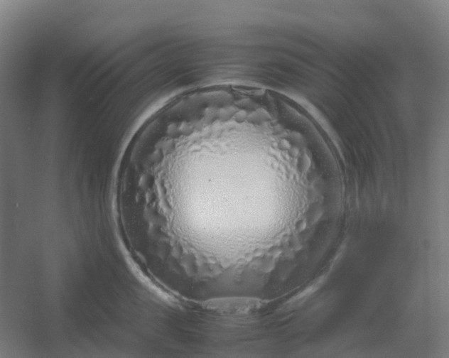 X0000054370957200508121537