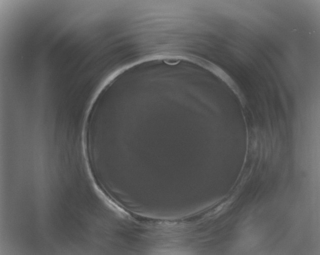 X0000054370958200508121537