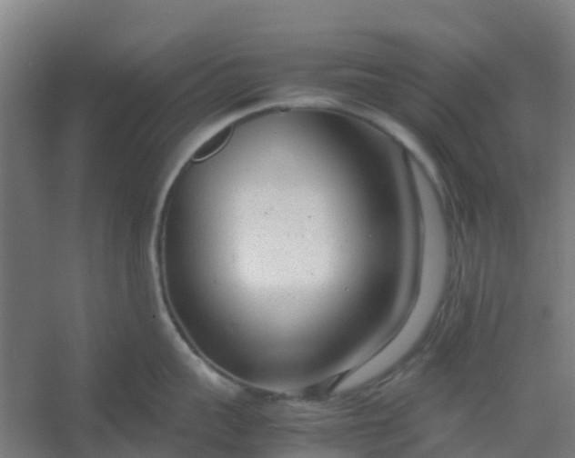 X0000054370959200508121537