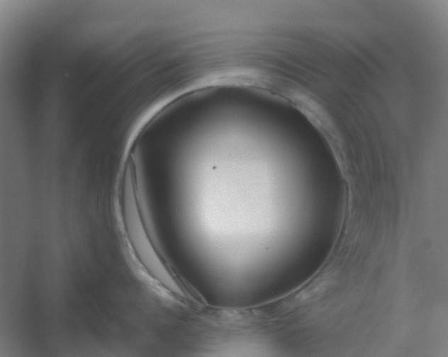 X0000054370960200508121537