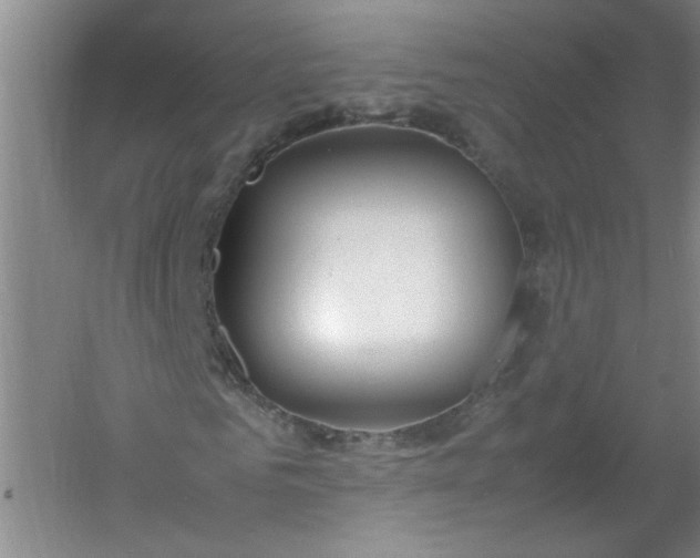 X0000054370961200508121536