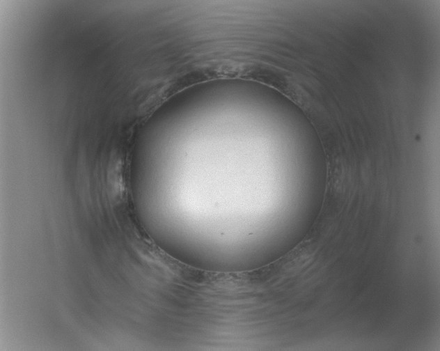 X0000054370962200508121536