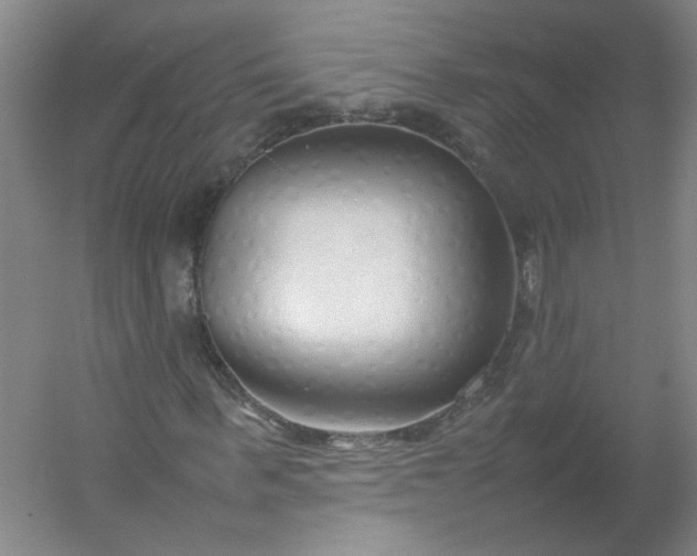 X0000054370963200508121536