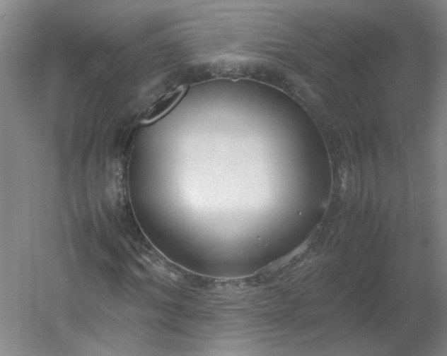 X0000054370964200508121536