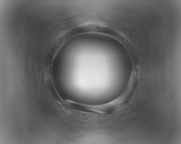 X0000054370965200508121536