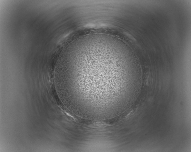 X0000054370966200508121536