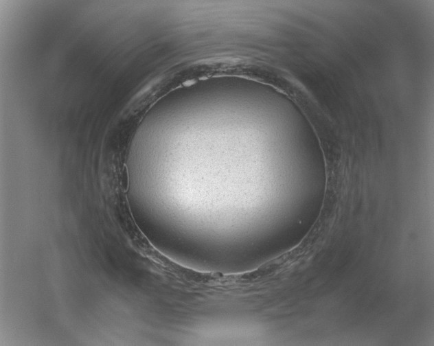 X0000054370967200508121536