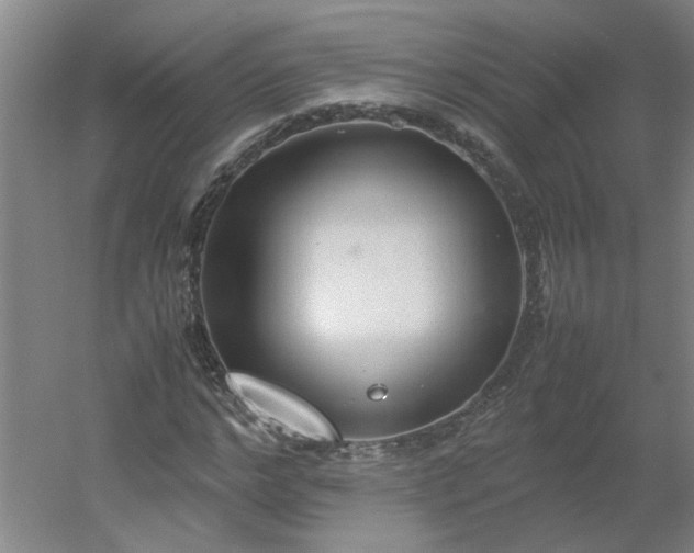 X0000054370968200508121536