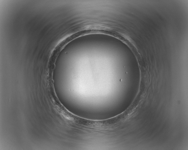 X0000054370971200508121536