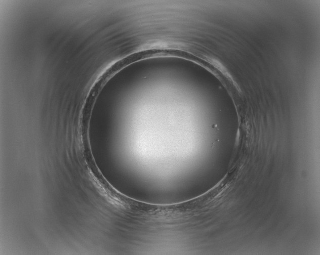 X0000054370972200508121536