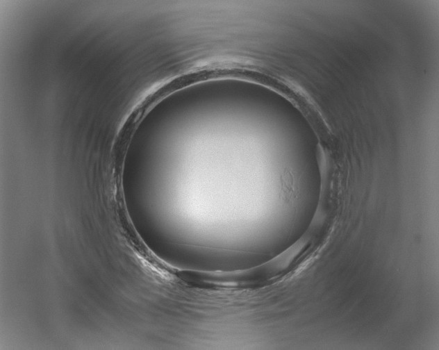 X0000054370973200508121536