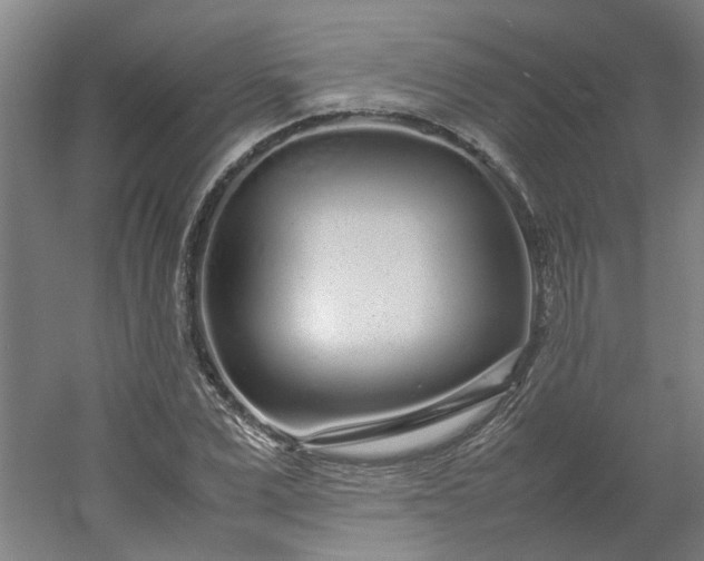 X0000054370975200508121536