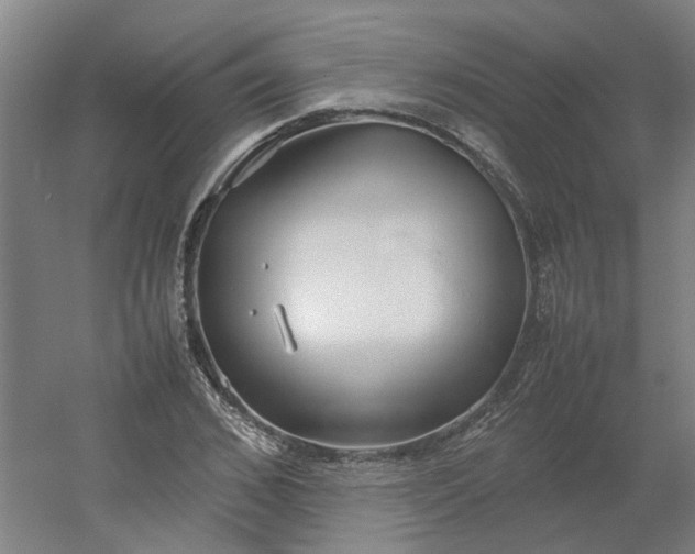 X0000054370976200508121536