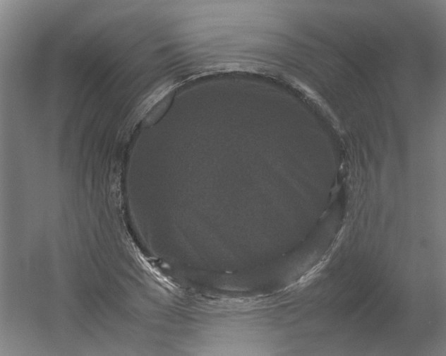 X0000054370977200508121536