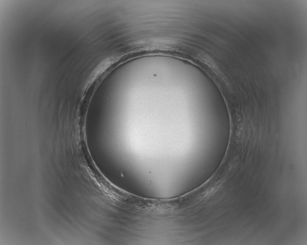 X0000054370978200508121536