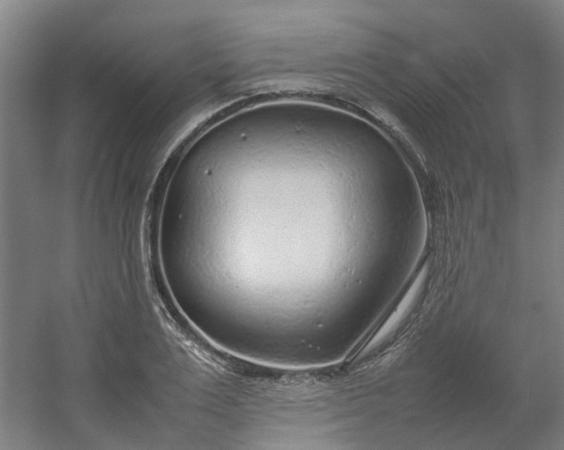 X0000054370983200508121536