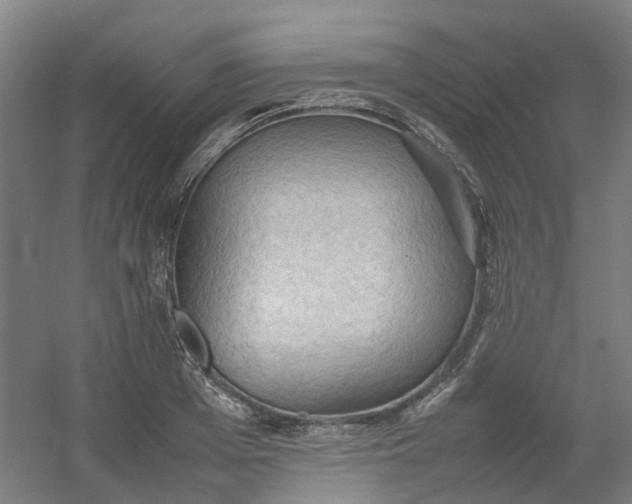 X0000054370985200508121536