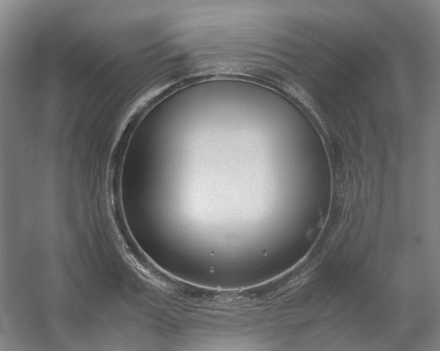 X0000054370987200508121535