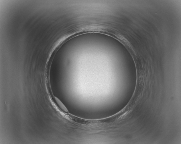 X0000054370989200508121535