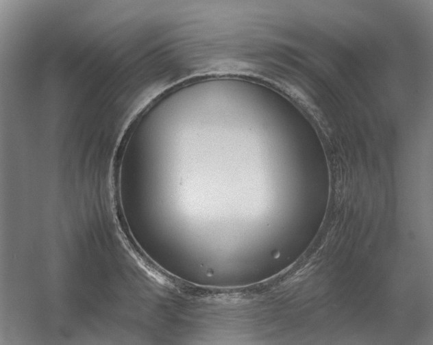 X0000054370990200508121535