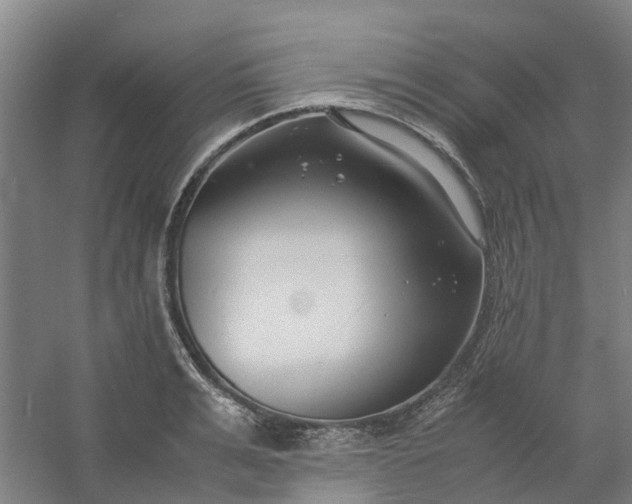 X0000054370991200508121535