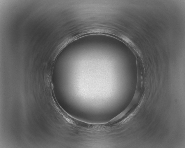 X0000054370993200508121535