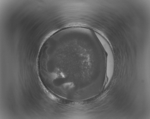 X0000054370995200508121535