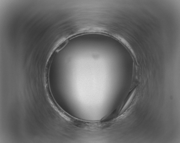 X0000054370997200508121535