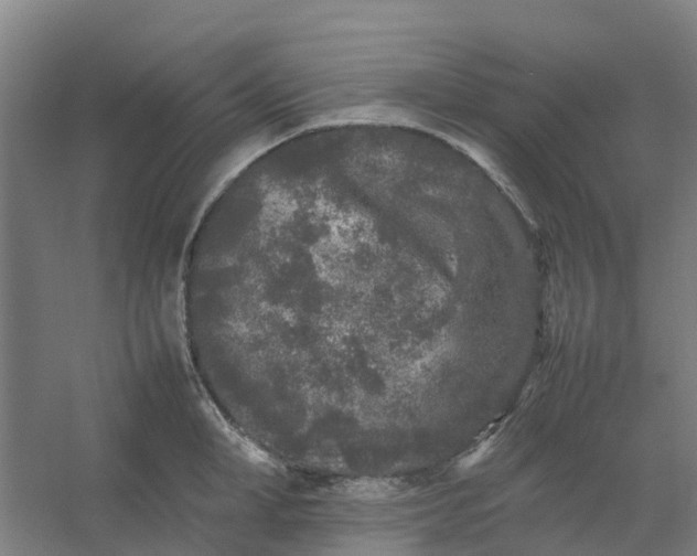 X0000054370998200508121535