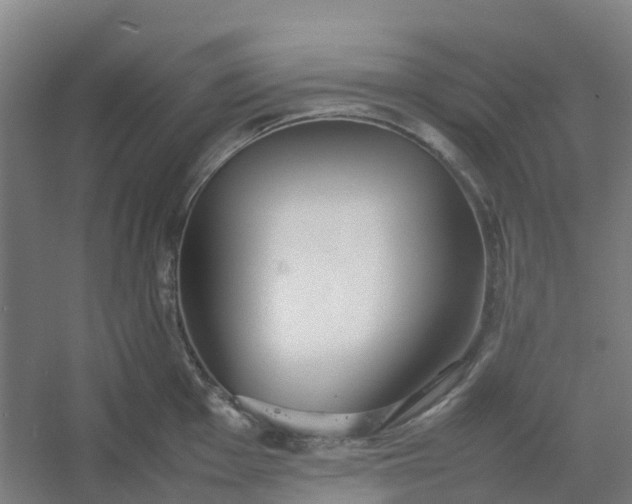 X0000054371001200508121535