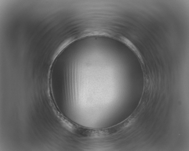 X0000054371002200508121535