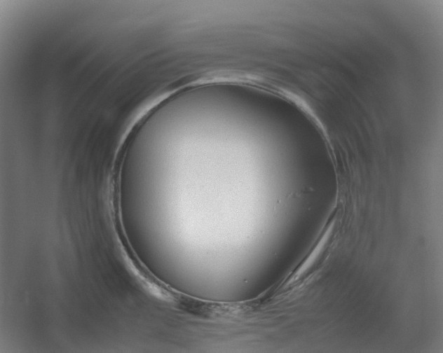 X0000054371003200508121535