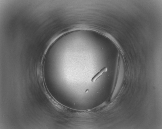 X0000054371004200508121535