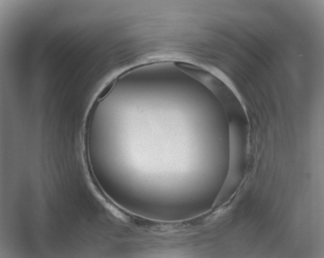 X0000054371005200508121535