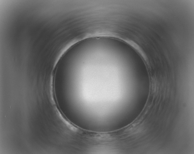 X0000054371006200508121535