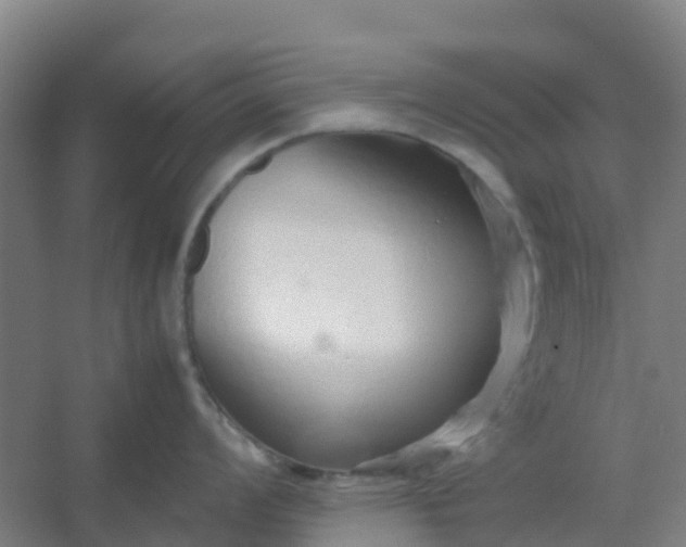 X0000054371008200508121535