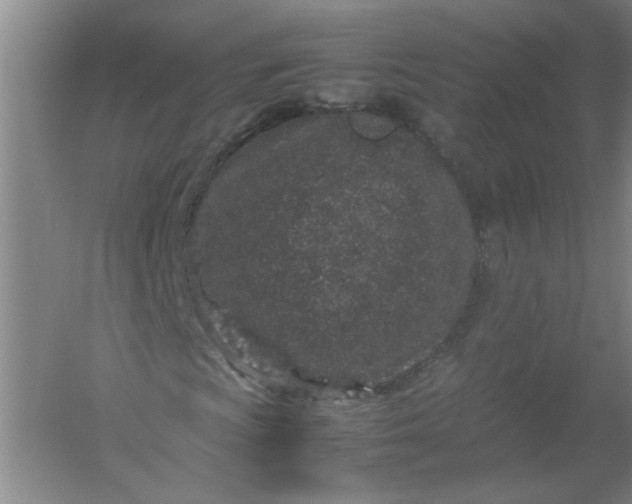 X0000054371009200508121534