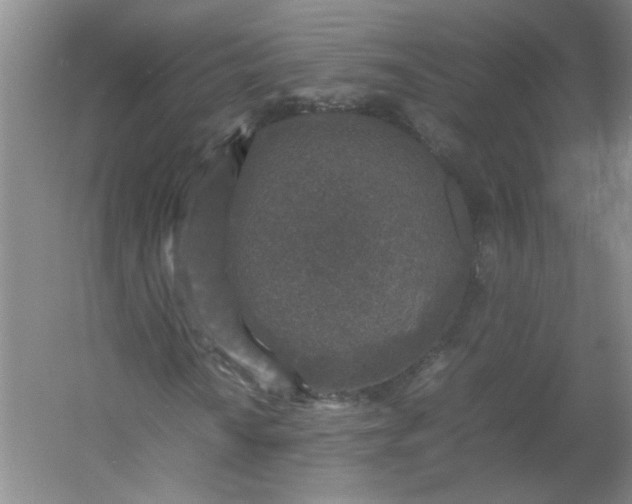 X0000054371010200508121534