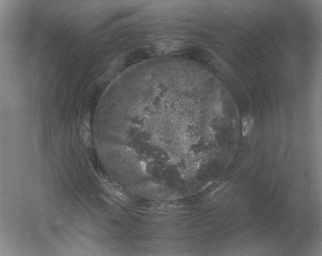 X0000054371011200508121534