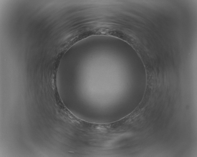 X0000054371013200508121534