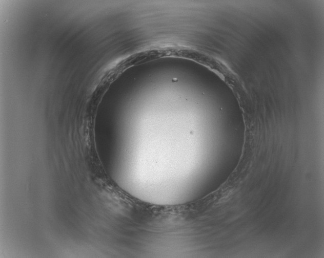 X0000054371016200508121534