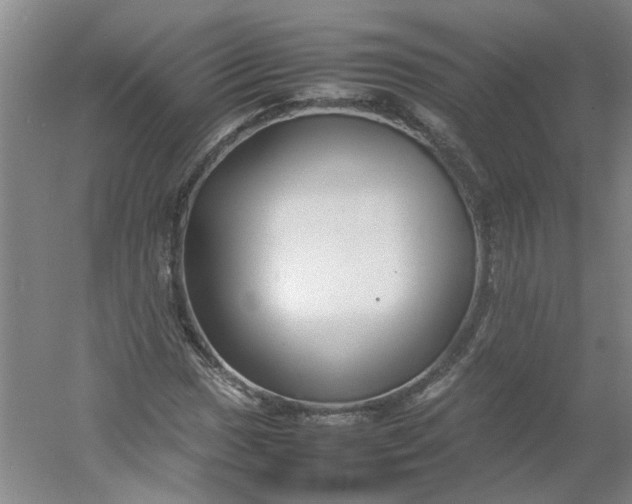 X0000054371017200508121534