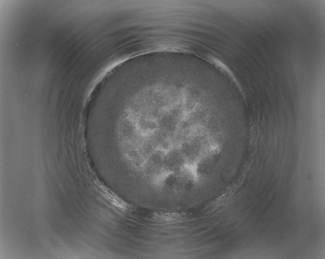 X0000054371019200508121534