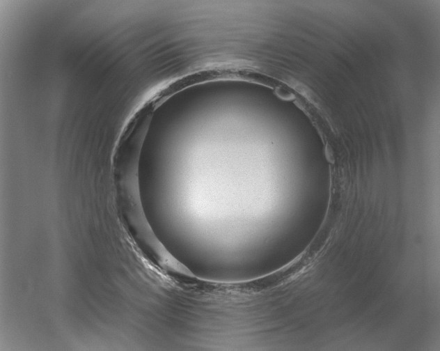 X0000054371022200508121535