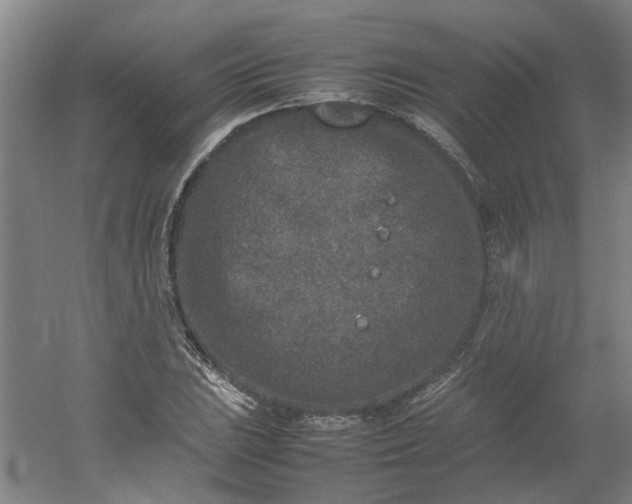 X0000054371023200508121535