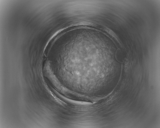 X0000054371024200508121535