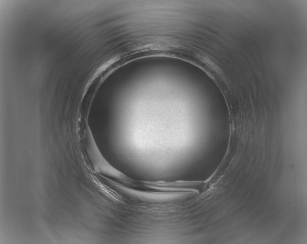 X0000054371026200508121535