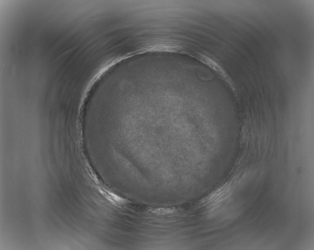 X0000054371027200508121535