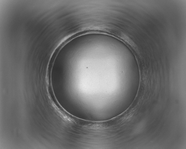 X0000054371028200508121535