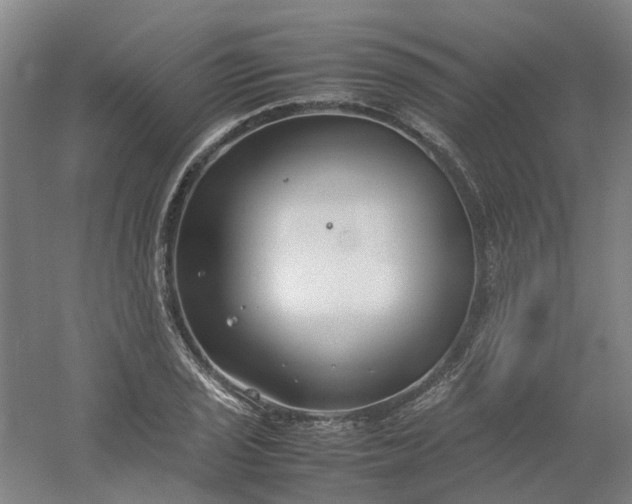 X0000054371029200508121535